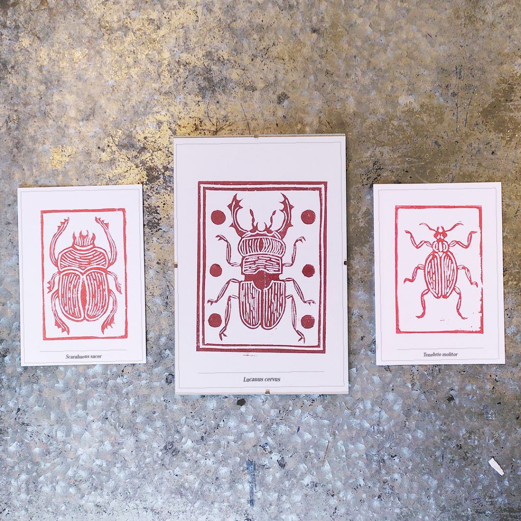 leo badiali linogravure insectes série hexapoda 1